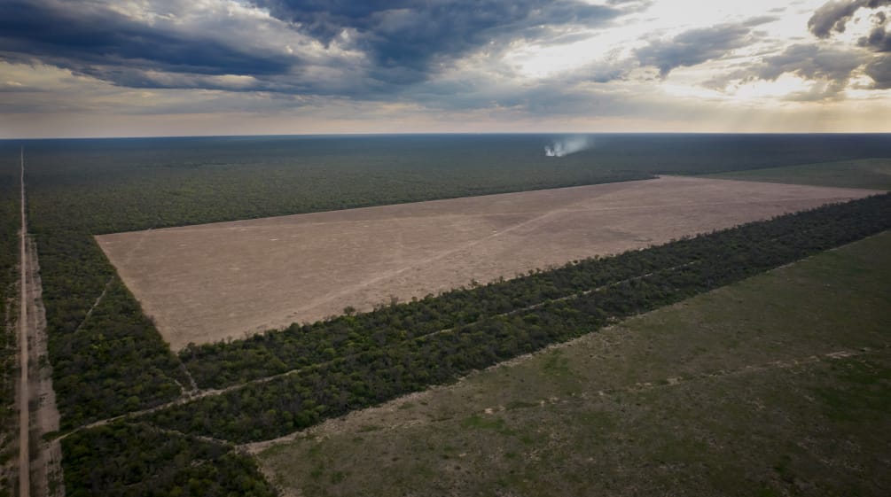 Fotografias aéreas de duas grandes áreas retangulares devastadas e caminhos de acesso abertos nas florestas.