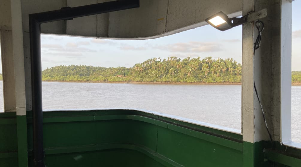Olhar a partir de um convés sobre a água - ao fundo, terra e palmeiras